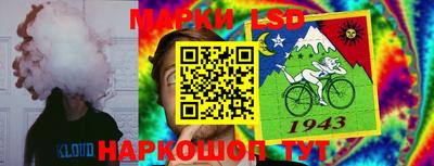 apvp Севастополь