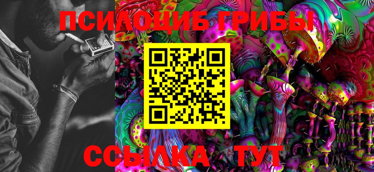 Псков  Псилоцибиновые грибы мухоморы  Вход с VPN 