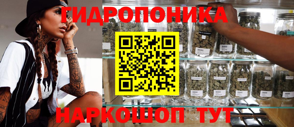 Бошки Шишки ГИДРОПОН  Вход с VPN  Каннабис тримм  Бошки марихуана OG Kush  Псков  Канабис THC 21% 